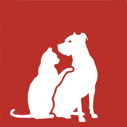Higea: gato y perro juntos